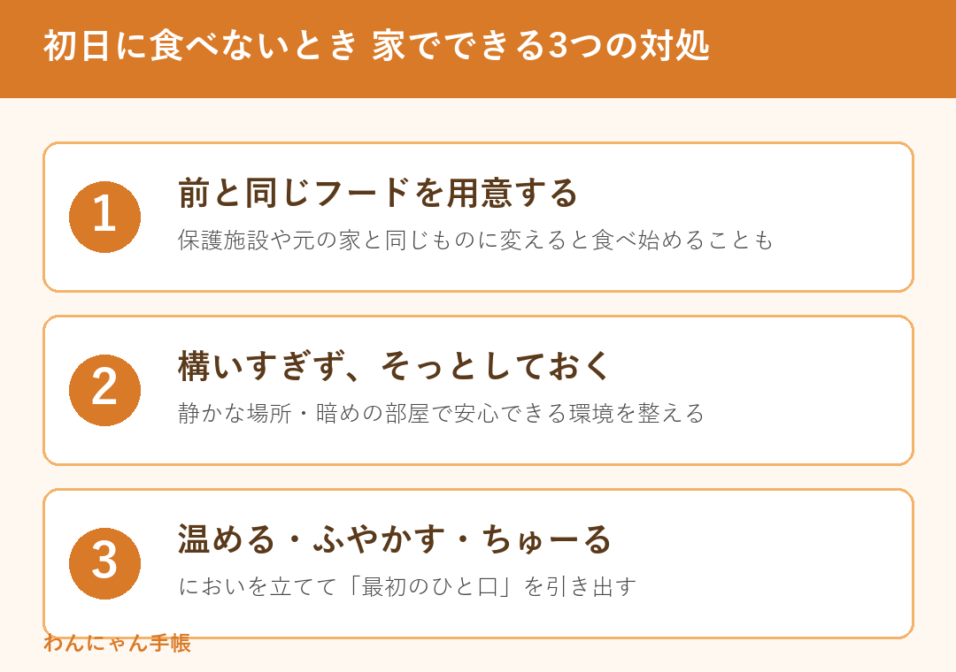 保護猫が初日に食べないとき家でできる3つの対処（同じフード・そっとしておく・温める）