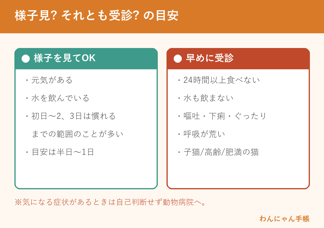 猫がご飯を食べないとき様子見でよい目安と受診すべき目安の早見表