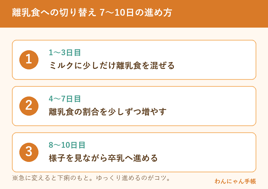 子猫の離乳食への切り替え 7〜10日の進め方ステップ