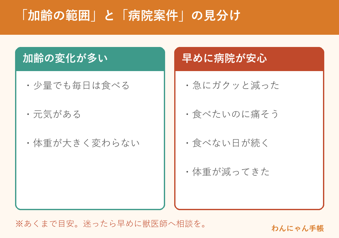 老猫の食欲不振 加齢の範囲か病院案件かの見分け早見表