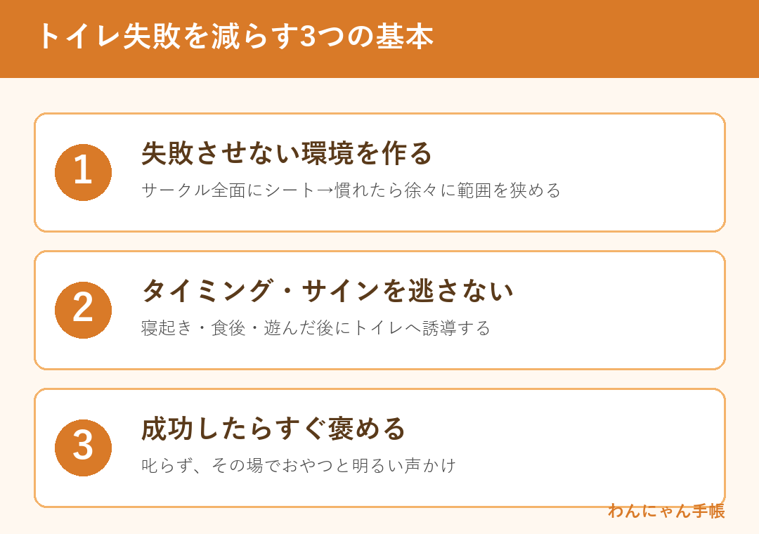 子犬のトイレ失敗を減らす3つの基本（環境・タイミング・褒める）