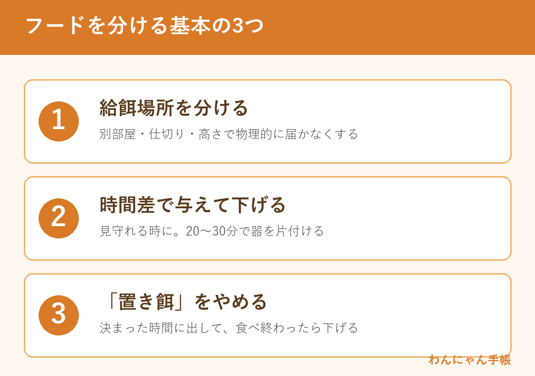 多頭飼いでフードを分ける基本3つ（場所・時間差・置き餌をやめる）