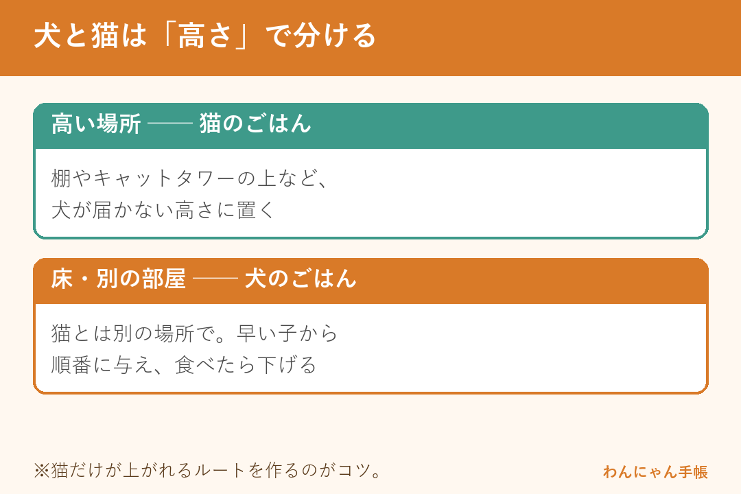 犬と猫はごはんを高さで分ける（猫は高い場所・犬は床や別室）