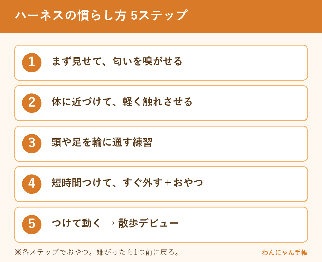 犬がハーネスを嫌がるときの慣らし方5ステップ