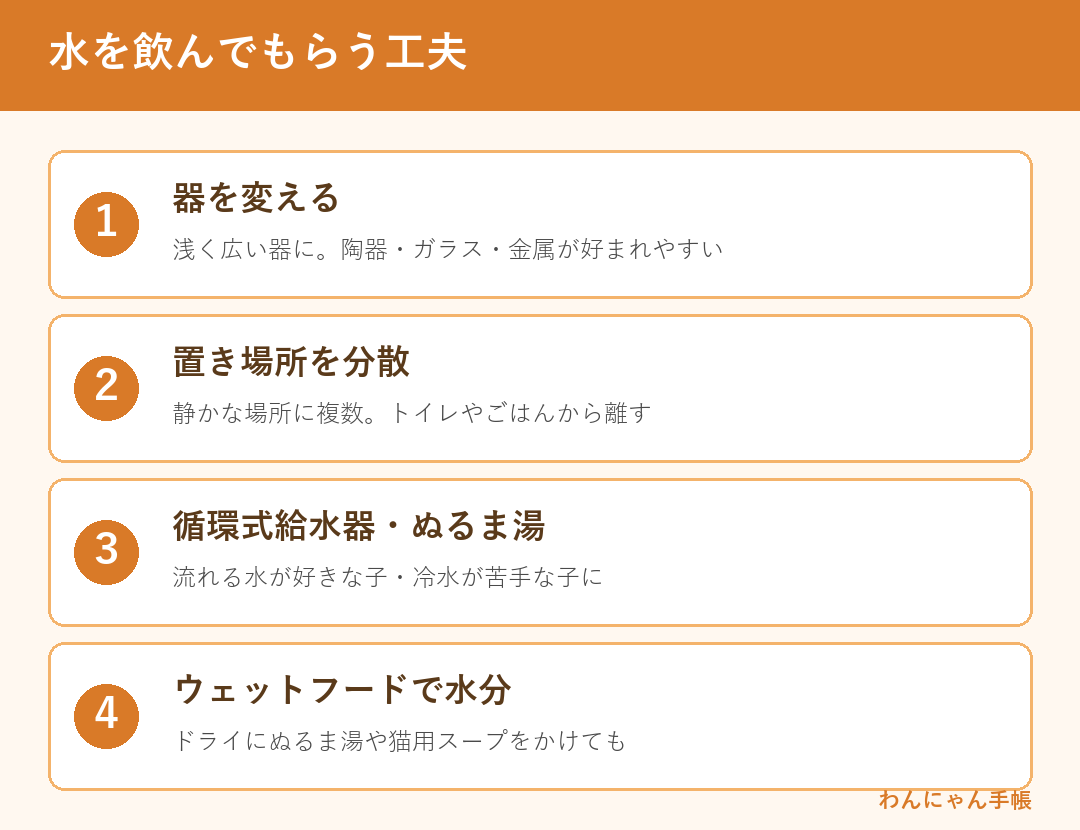 猫に水を飲んでもらう工夫（器・置き場所・循環式給水器・ウェット）