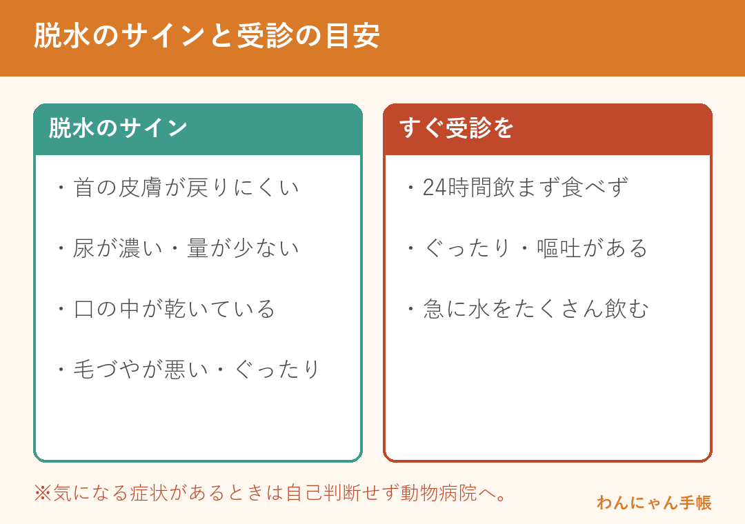 猫の脱水のサインとすぐ受診すべき目安