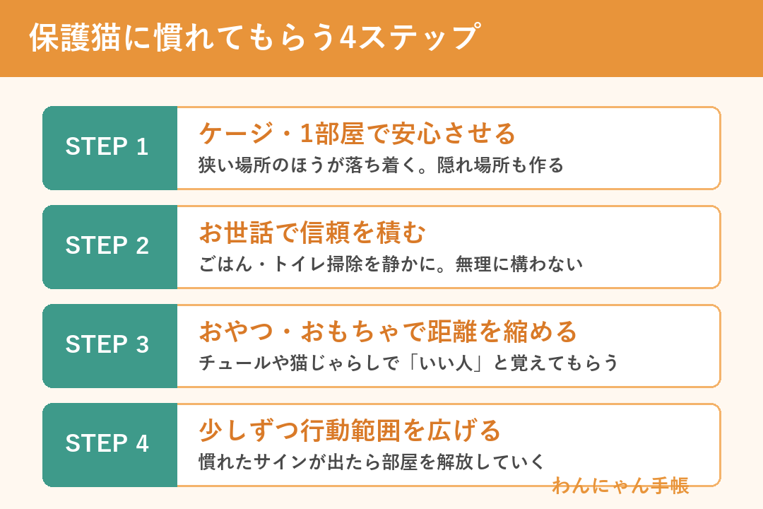 保護猫に慣れてもらう4ステップ（ケージ・お世話・おやつ・行動範囲）