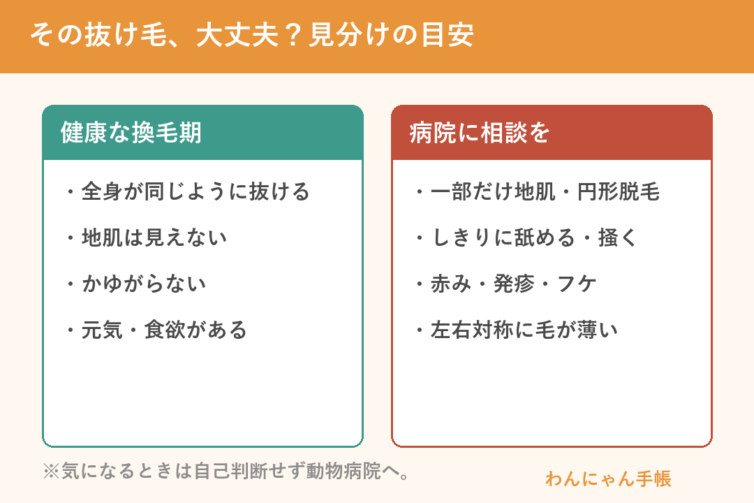 健康な換毛期と、病院に相談すべき抜け毛の見分け