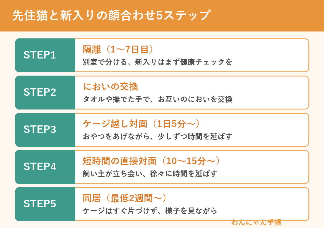 先住猫と新入りの顔合わせ5ステップ（隔離・においの交換・ケージ越し対面・短時間対面・同居）