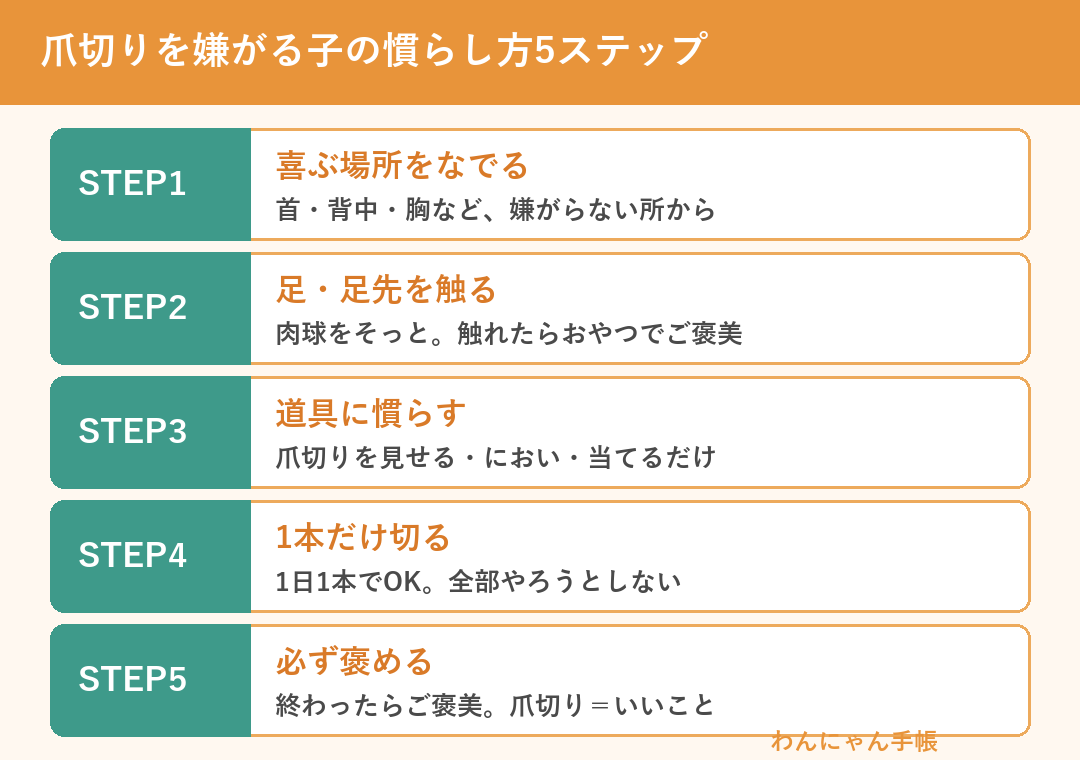 爪切りを嫌がる犬の慣らし方5ステップ