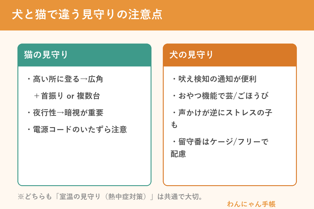 犬と猫で違うペットカメラ見守りの注意点