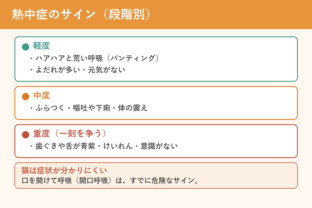 ペットの熱中症のサイン（軽度・中度・重度の段階別）