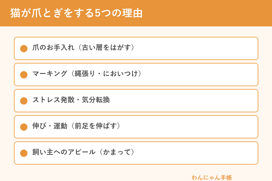 猫が爪とぎをする5つの理由