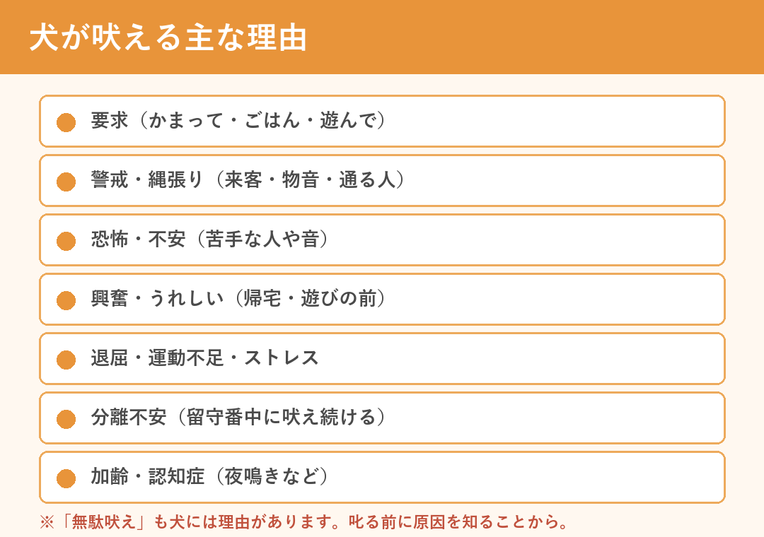 犬が吠える主な理由（要求・警戒・恐怖・興奮・退屈・分離不安・加齢）
