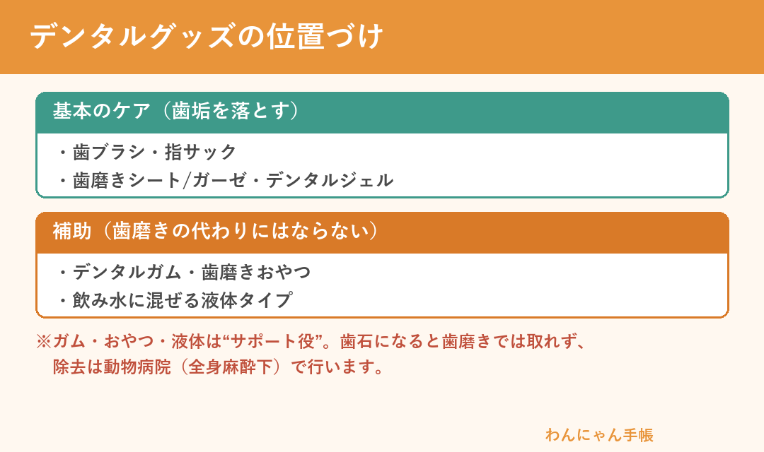猫のデンタルグッズの位置づけ（基本のケアと補助）