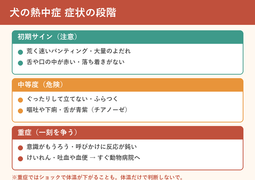 犬の熱中症の症状の段階（初期サイン・中等度・重症）