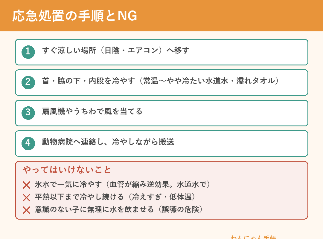 犬の熱中症の応急処置の手順とやってはいけないこと