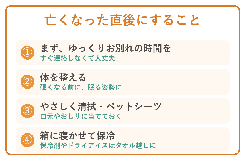 ペットが亡くなった直後にすること 安置と保冷の手順