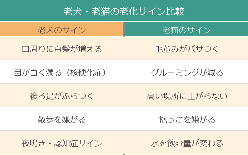 老犬老猫の老化サイン比較表