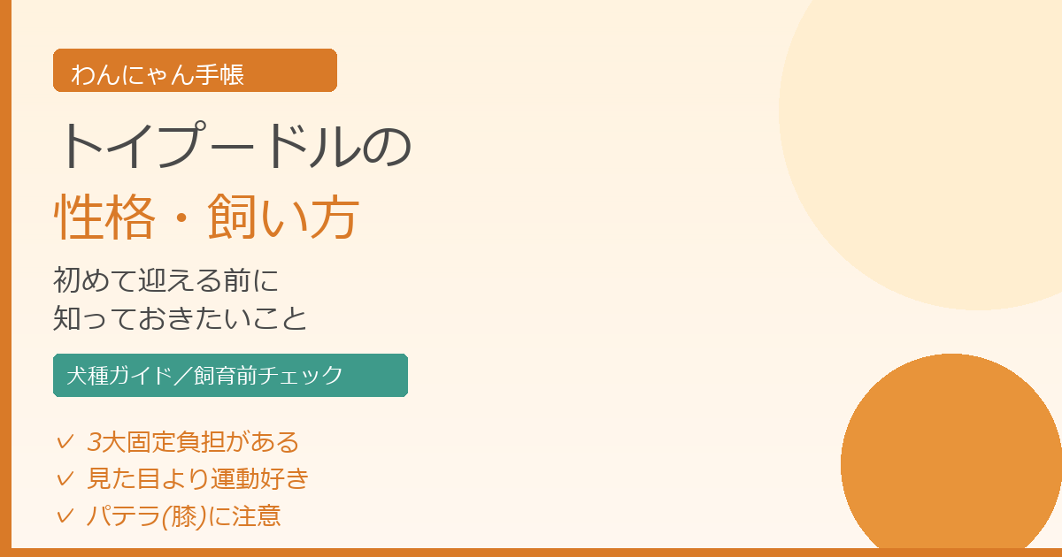 トイプードルの性格・飼い方アイキャッチ