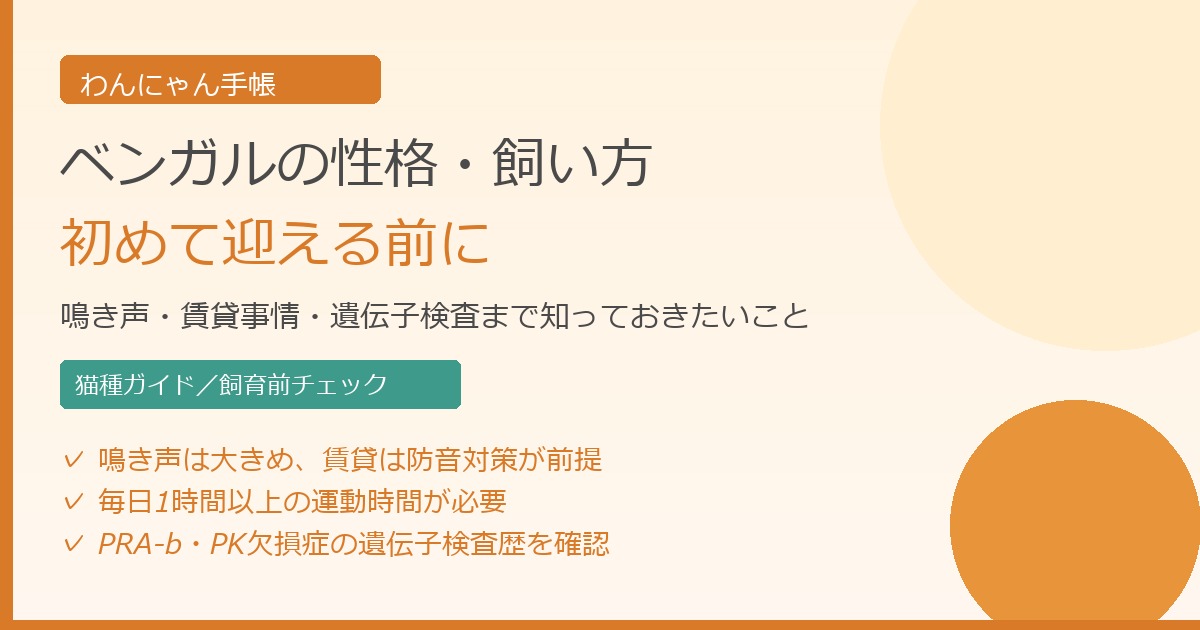 ベンガルの性格・飼い方アイキャッチ画像