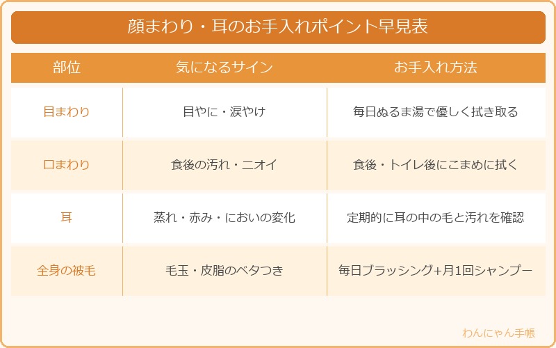 シーズーの顔まわりと耳のお手入れポイント