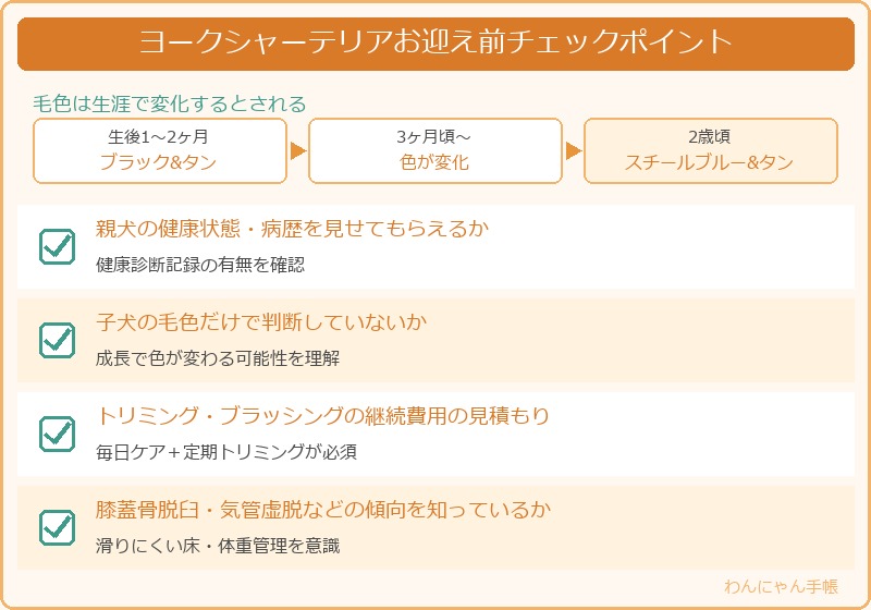 ヨークシャーテリアを迎える前に知っておきたいポイント