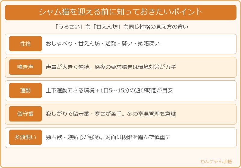 シャム猫を迎える前に知っておきたいポイント早見表