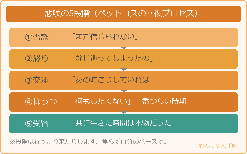 悲嘆の5段階(ペットロスの回復プロセス)