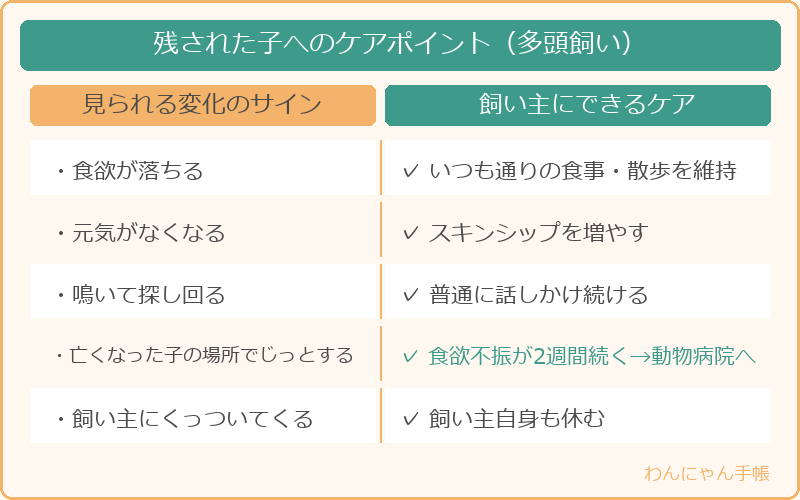 残された子へのケアポイント(多頭飼い)