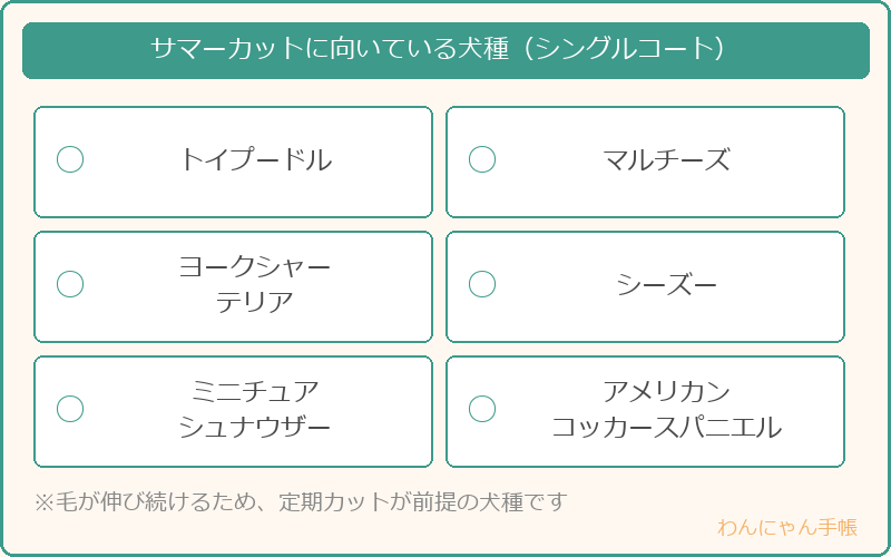 サマーカットに向いているシングルコート犬種の一覧