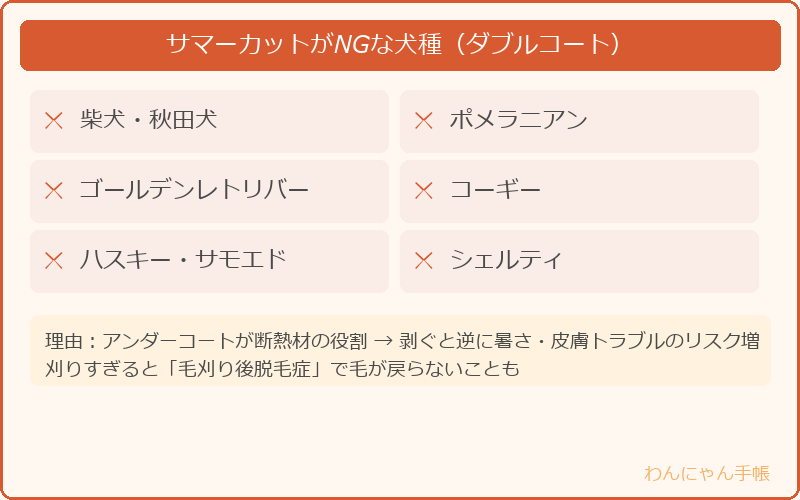 サマーカットがNGなダブルコート犬種の一覧と理由