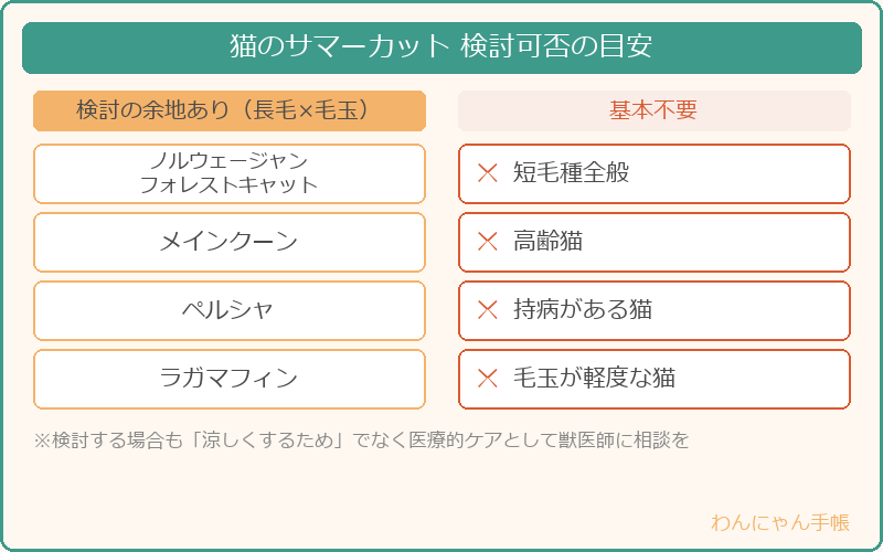 猫のサマーカットを検討する余地がある猫種と基本不要な猫種の一覧
