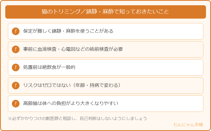 猫のトリミングにおける鎮静・麻酔で知っておきたいポイント