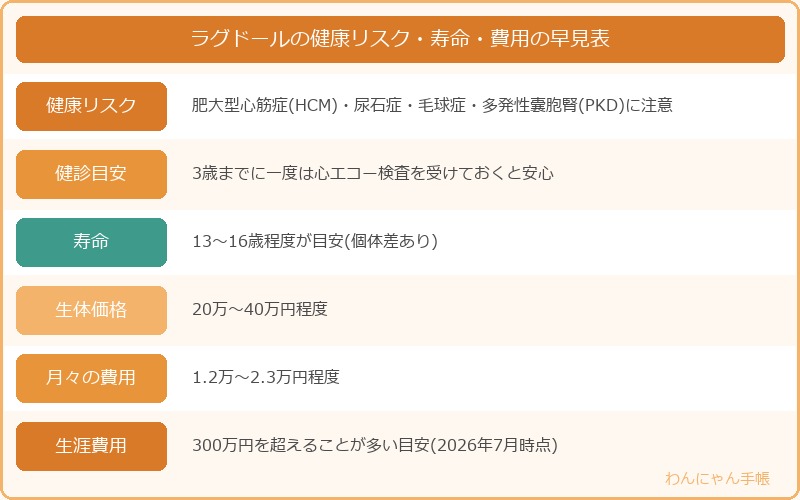 ラグドールの費用目安早見表