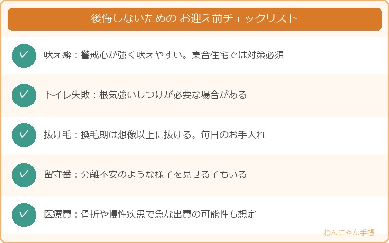 ポメラニアンを後悔しないために確認したいお迎え前チェックリスト