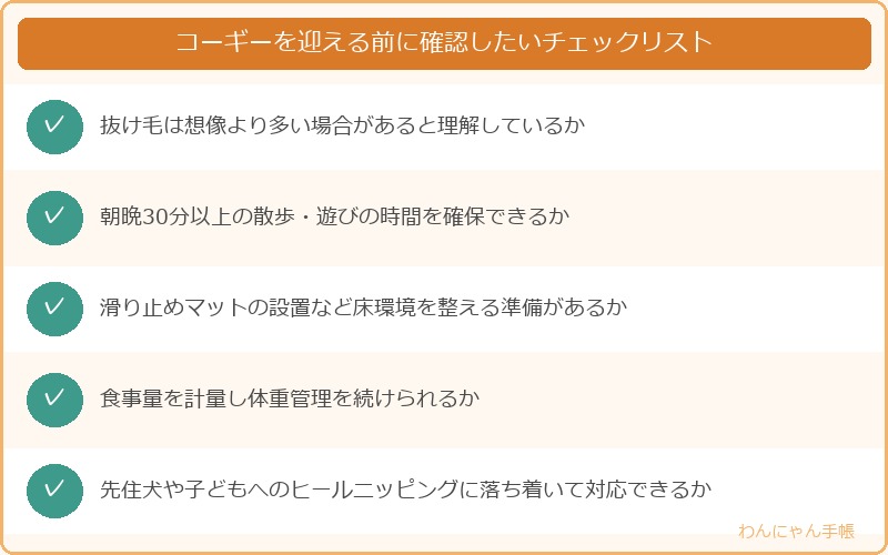 コーギーを迎える前に確認したいチェックリスト