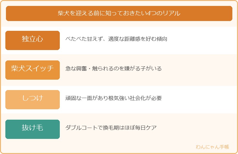柴犬を迎える前に知っておきたい4つのリアル