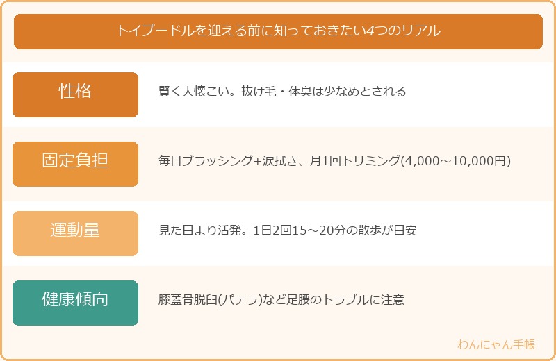 トイプードルを迎える前に知っておきたい4つのリアル