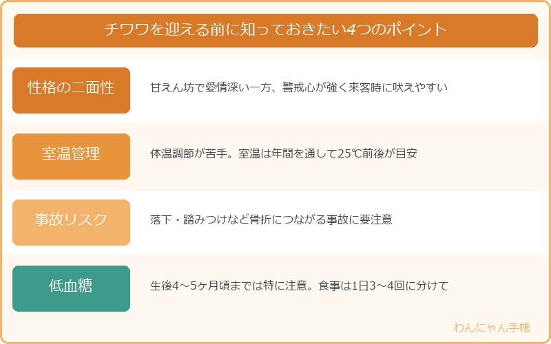 チワワを迎える前に知っておきたい4つのポイント