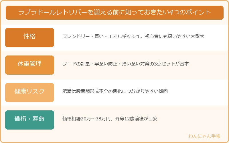 ラブラドールレトリバーを迎える前に知っておきたい4つのポイント