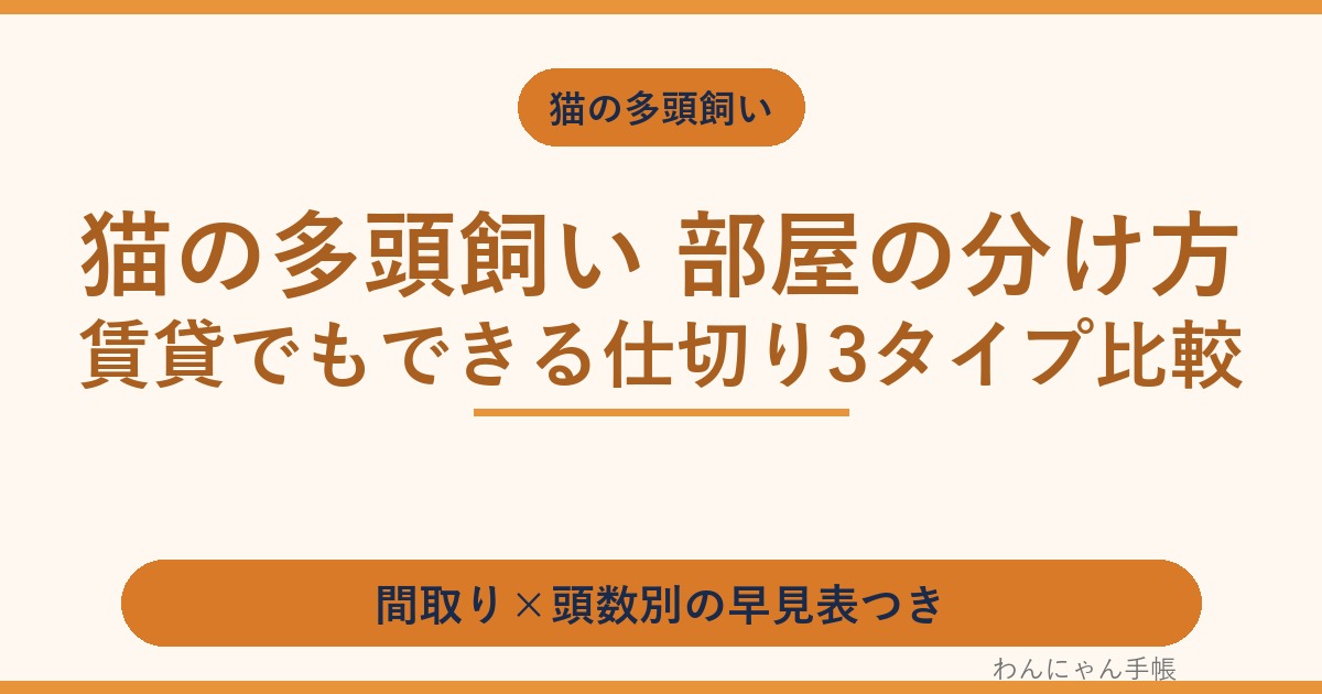 猫の多頭飼い 部屋の分け方|賃貸でもできる仕切り3タイプ比較