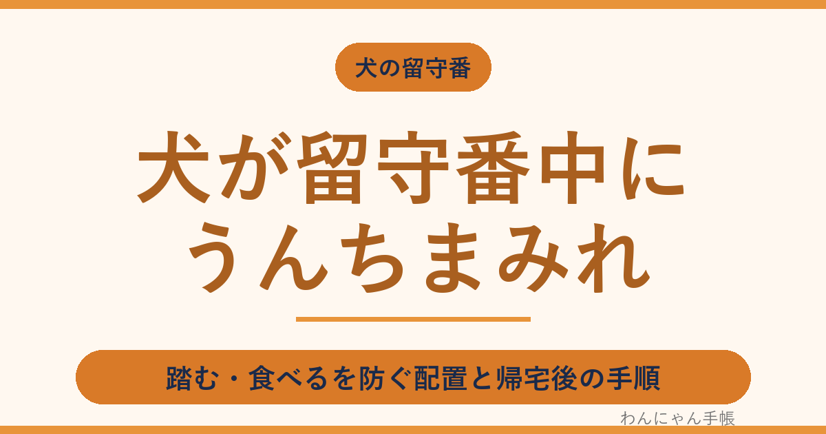 犬が留守番中にうんちまみれ|踏む・食べるを防ぐ配置と帰宅後の手順