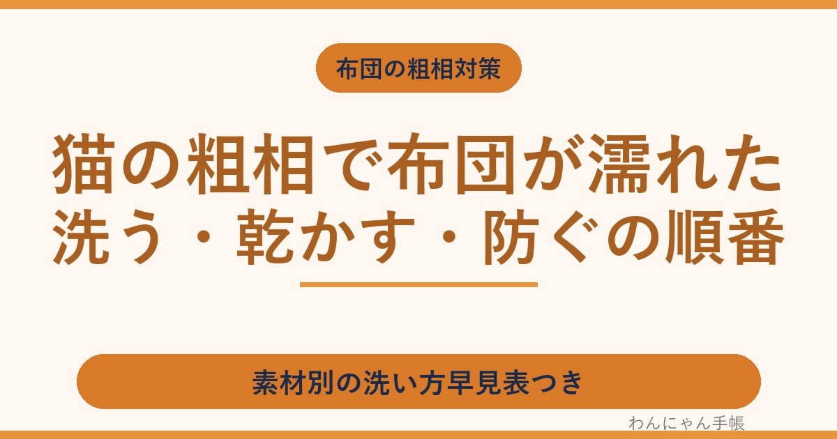 猫の粗相で布団が濡れた時の対策|洗う・乾かす・防ぐの順番