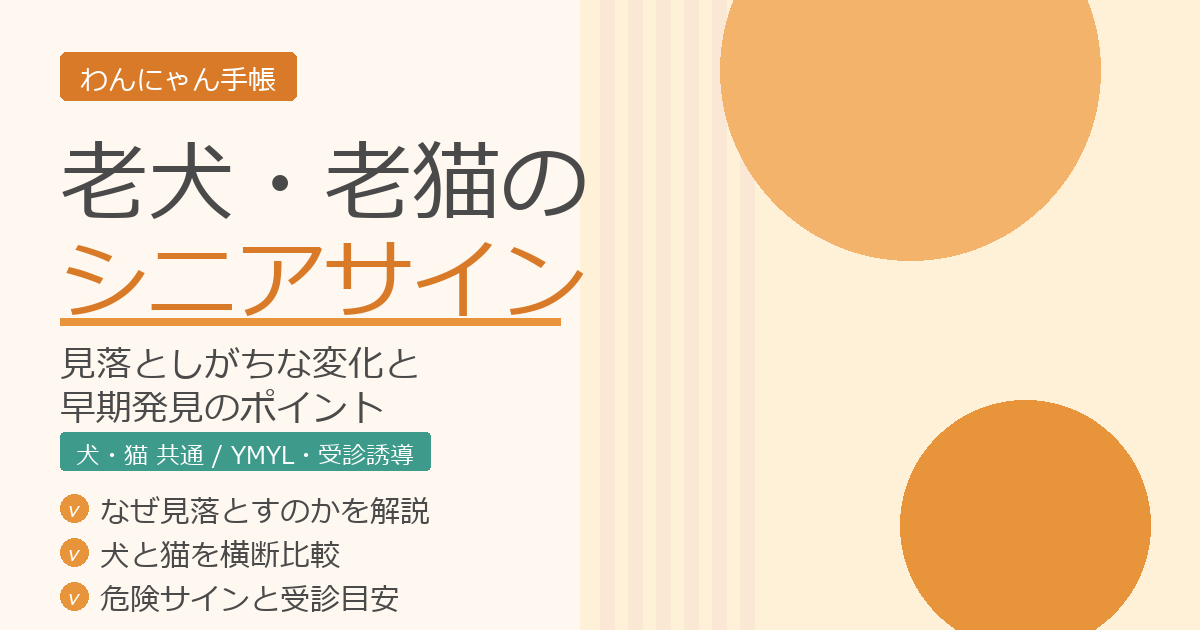 老犬・老猫のシニアサイン|見落としがちな変化と早期発見のポイント【犬猫共通】