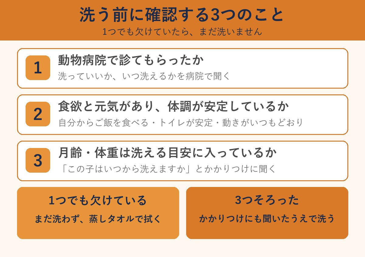 保護猫を洗う前に確認する3つのこと。動物病院で診てもらったか、食欲と元気があり体調が安定しているか、月齢と体重は洗える目安か。1つでも欠けていればまだ洗わず蒸しタオルで拭く