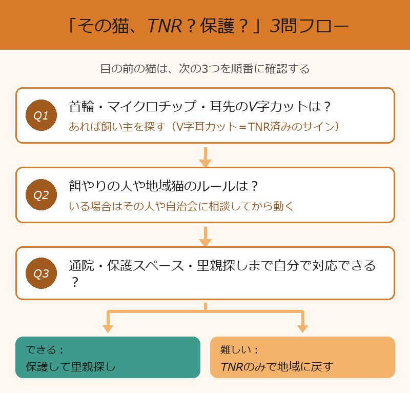 保護猫活動 その猫TNRか保護か3問フロー
