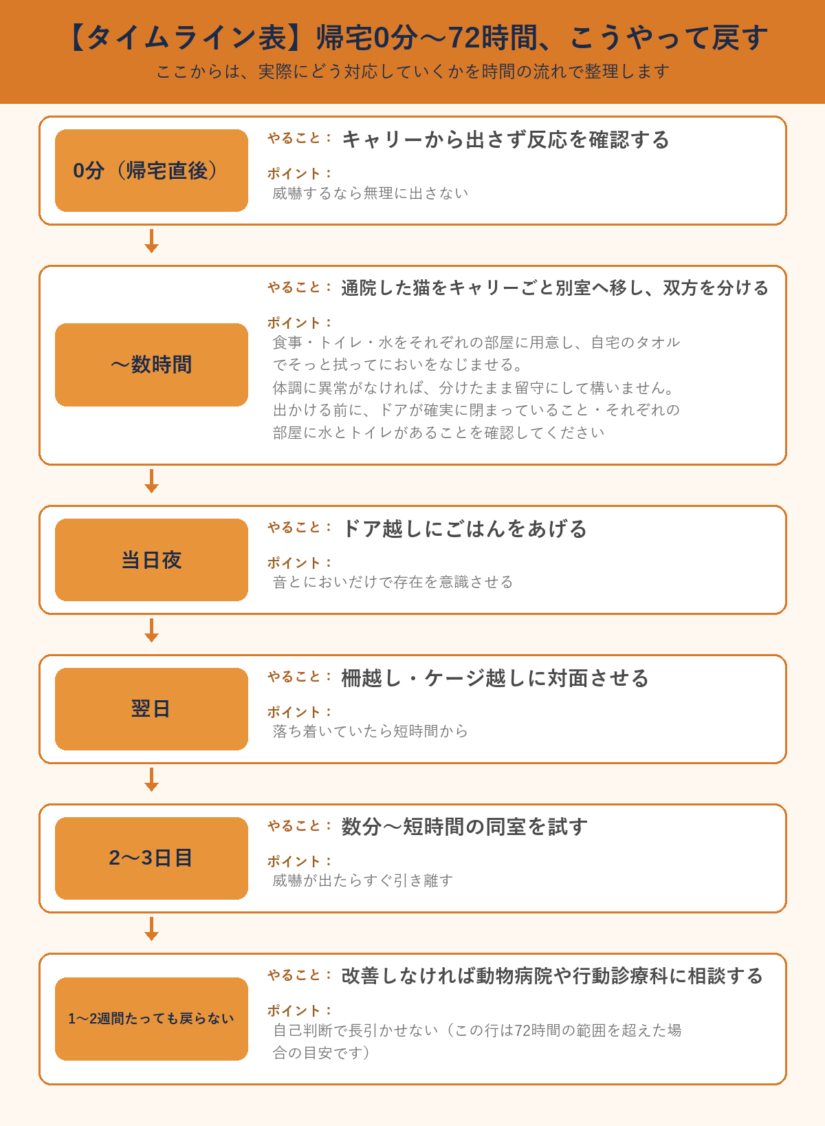 帰宅0分から72時間までの再対面タイムライン図。0分はキャリーから出さず確認、〜数時間は別室に分ける、当日夜はドア越しにごはん、翌日は柵越し対面、2〜3日目は短時間の同室、1〜2週間たっても戻らないなら相談