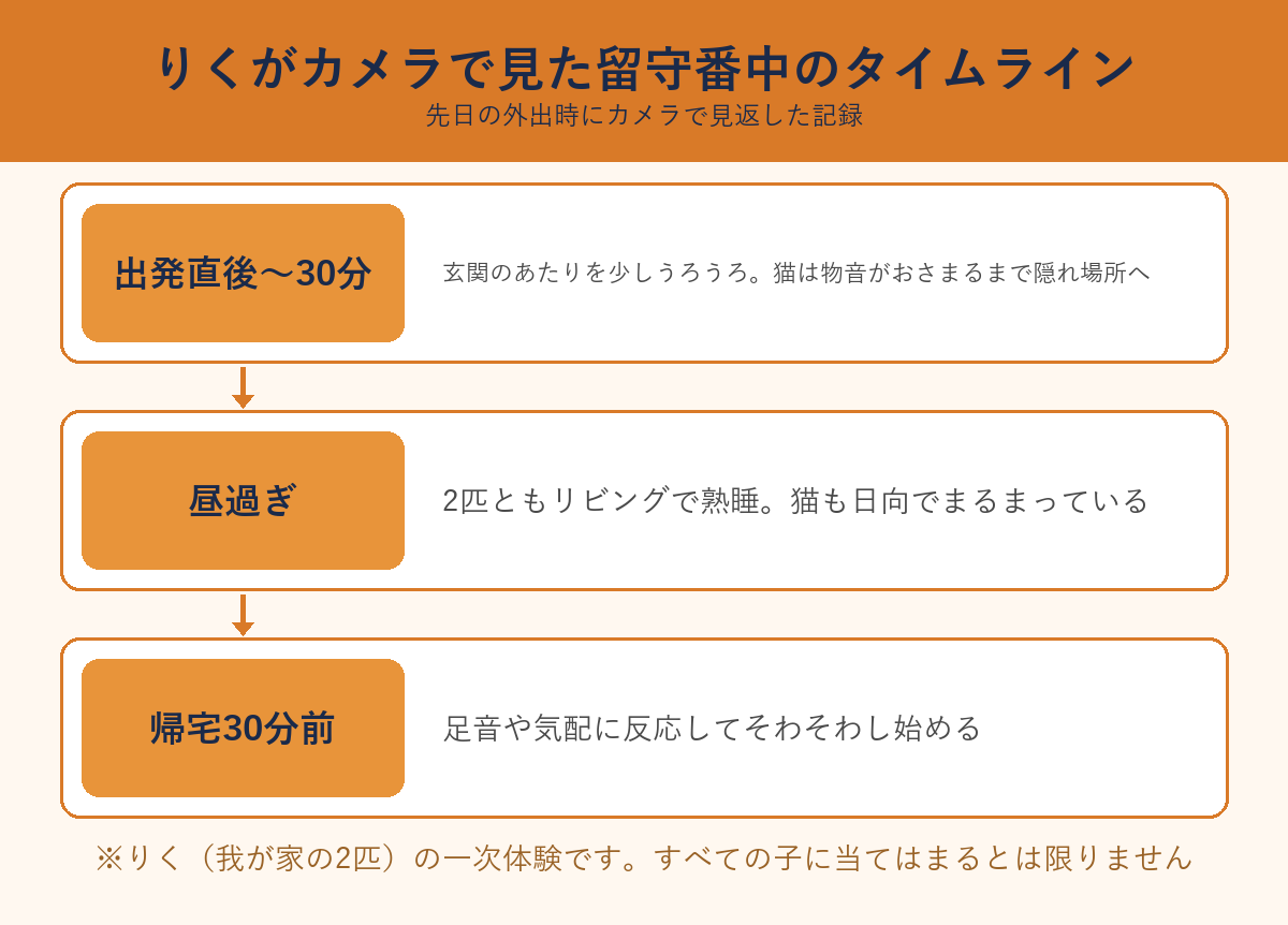 りくがカメラで見た留守番中のタイムライン