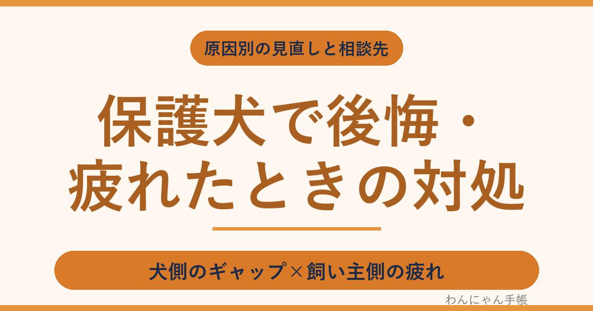 保護犬で後悔・疲れたときの対処|原因別の見直しと相談先